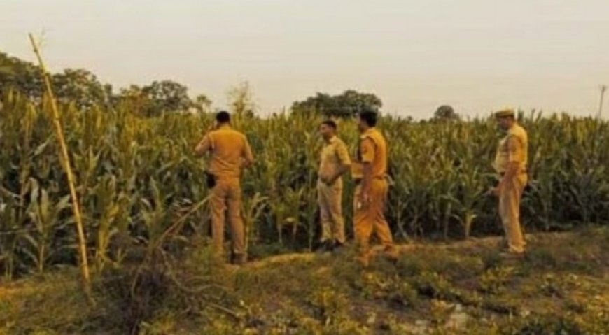 दिल दहला देने वाली वारदात, 7 साल की बच्ची से रेप के बाद हत्या..