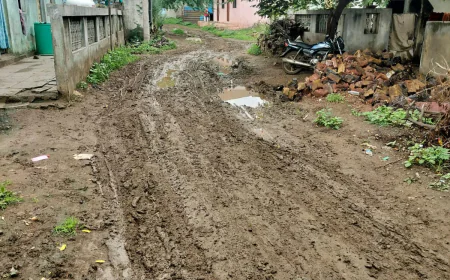 लिंबे जळगाव: सुरुवातीच्या पावसाने रस्त्यांची दुरवस्था, नागरिकांचे हाल बेहाल