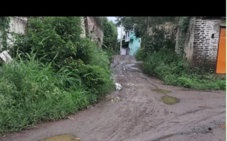 देवळाना खुर्द: चिखलात अडकलेले गाव, आश्वासनांचा खेळ आणि ग्रामस्थांचा संताप