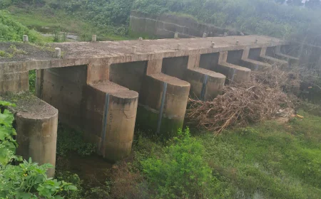 देवळाना बुद्रुकचा कोल्हापुरी बंधारा: दरवाज्याविना शेतकरी उद्ध्वस्त, अधिकारी-ठेकेदारांचा भोंगळ कारभार; चौकशीची मागणी