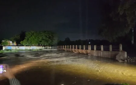 गिरिजा नदीचा रुद्ररूप: खुलताबाद तालुक्यातील देवळाणा बुद्रुक-खुर्द गावांना महापूराचा तडाखा, शाळा आणि पूल प्रकल्पावर प्रश्नचिन्ह