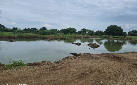लिंबे जळगाव दसरा ट्रैजडि २०२५: मृत बालकांच्या कुटुंबांसाठी आर्थिक लाभ आणि प्राप्तीची प्रक्रिया