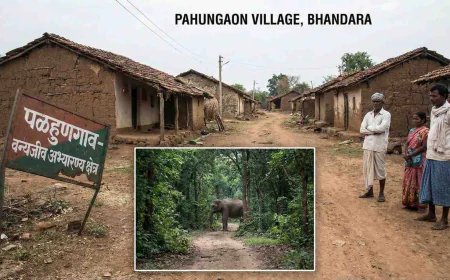 भंडारा जिल्ह्यातील पाहुणगावातील नागरिकांच्या समस्या: विकासाकडे दुर्लक्ष