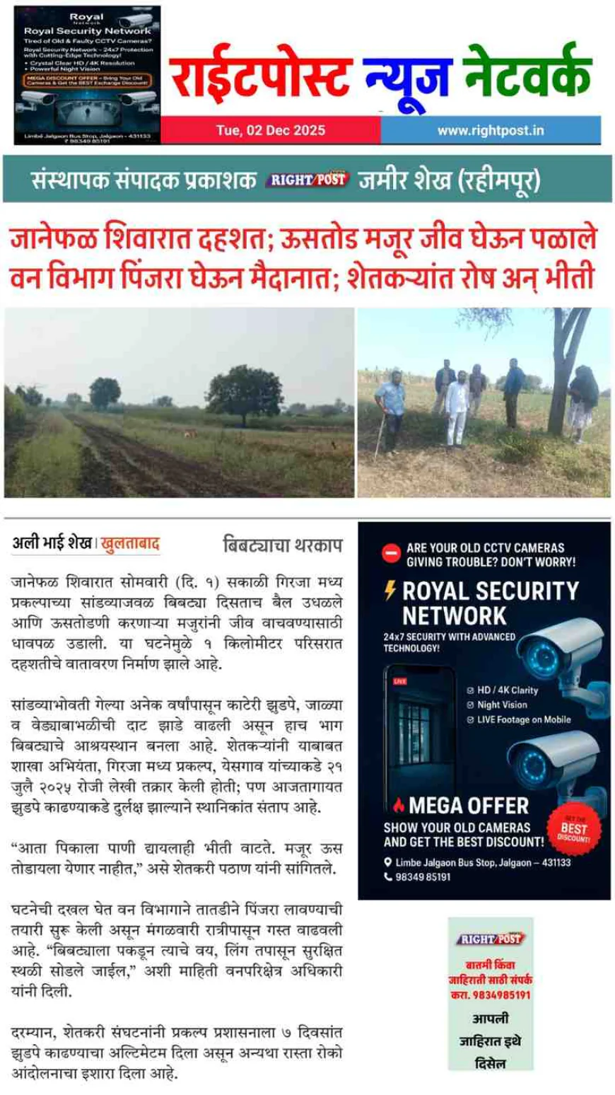 जानेफळ शिवारात बिबट्या दिसल्याने शेतकरी-ग्रामस्थांत भीतीचे वातावरण; वन विभागाकडून पिंजरा लावण्याची तयारी