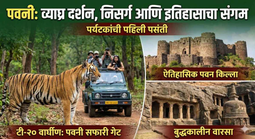 'टी-२०' वाघिणीमुळे पवनी पर्यटन जोमात; उमरेड-पवनी-कऱ्हांडला अभयारण्याला पर्यटकांची पसंती, ऐतिहासिक वारसाही खुणावतोय
